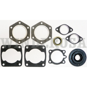 Winderosa Complete Gasket Sets with Oil Seals